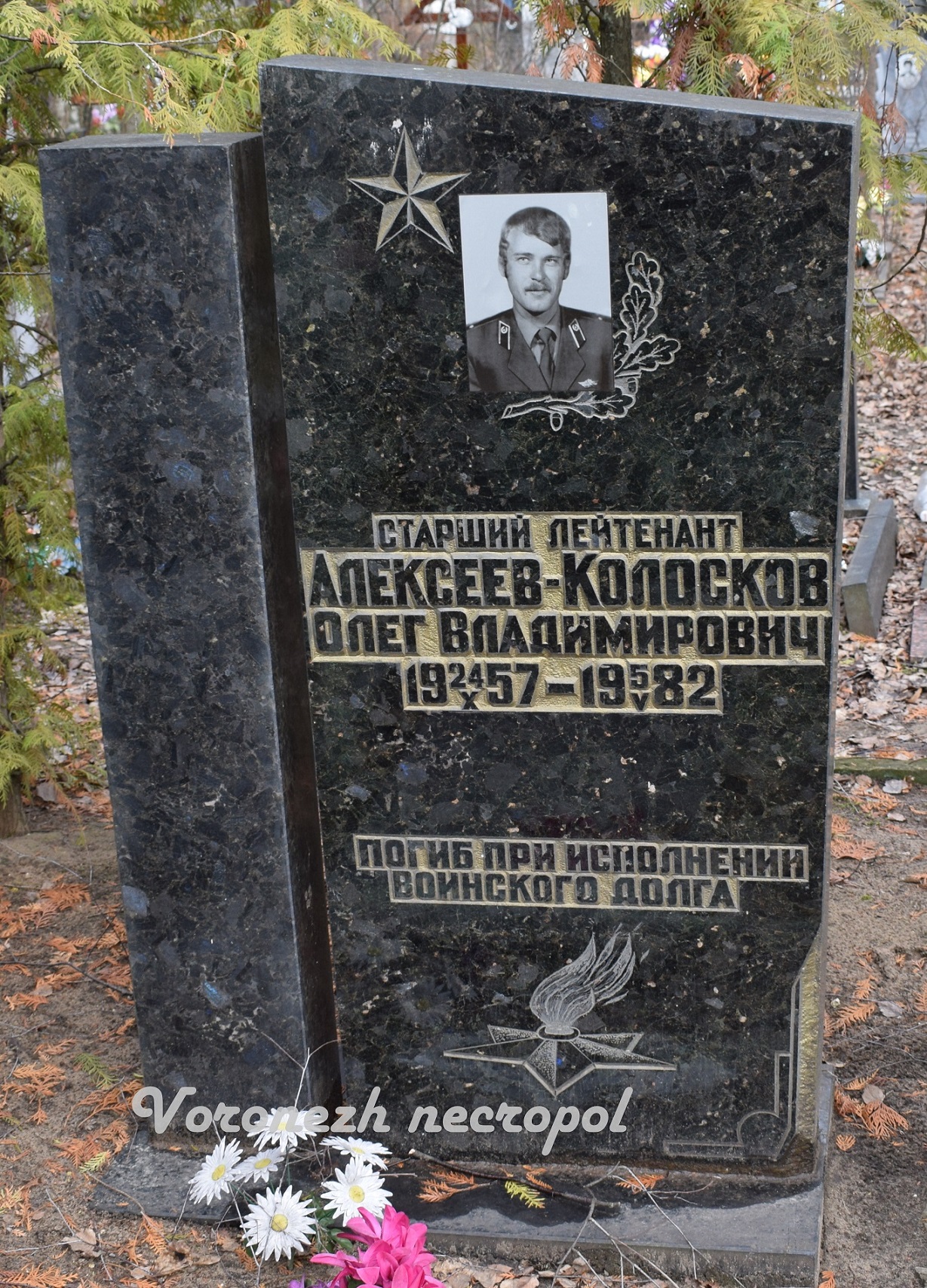 aleks koloskov
