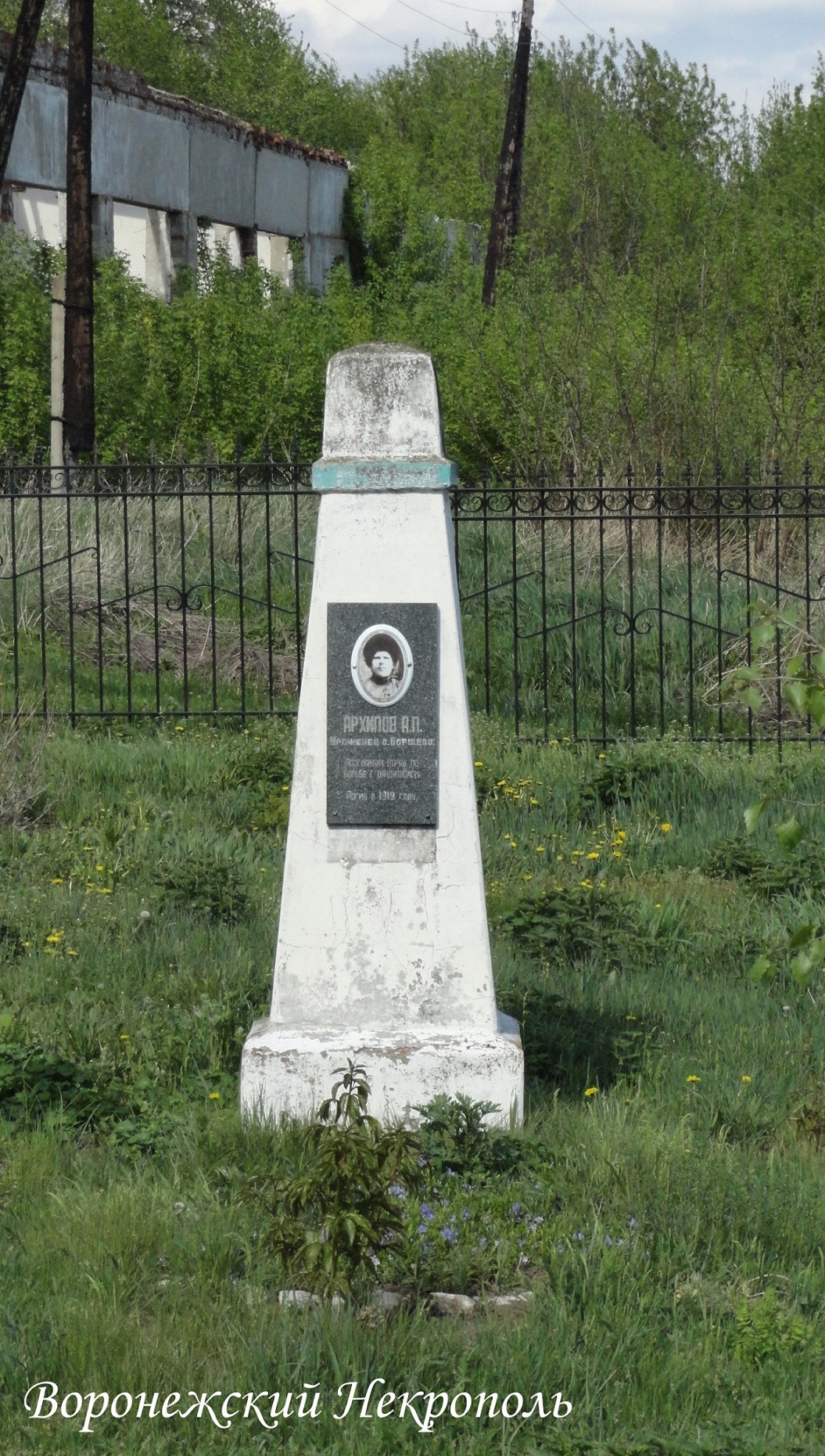 arhipovap2