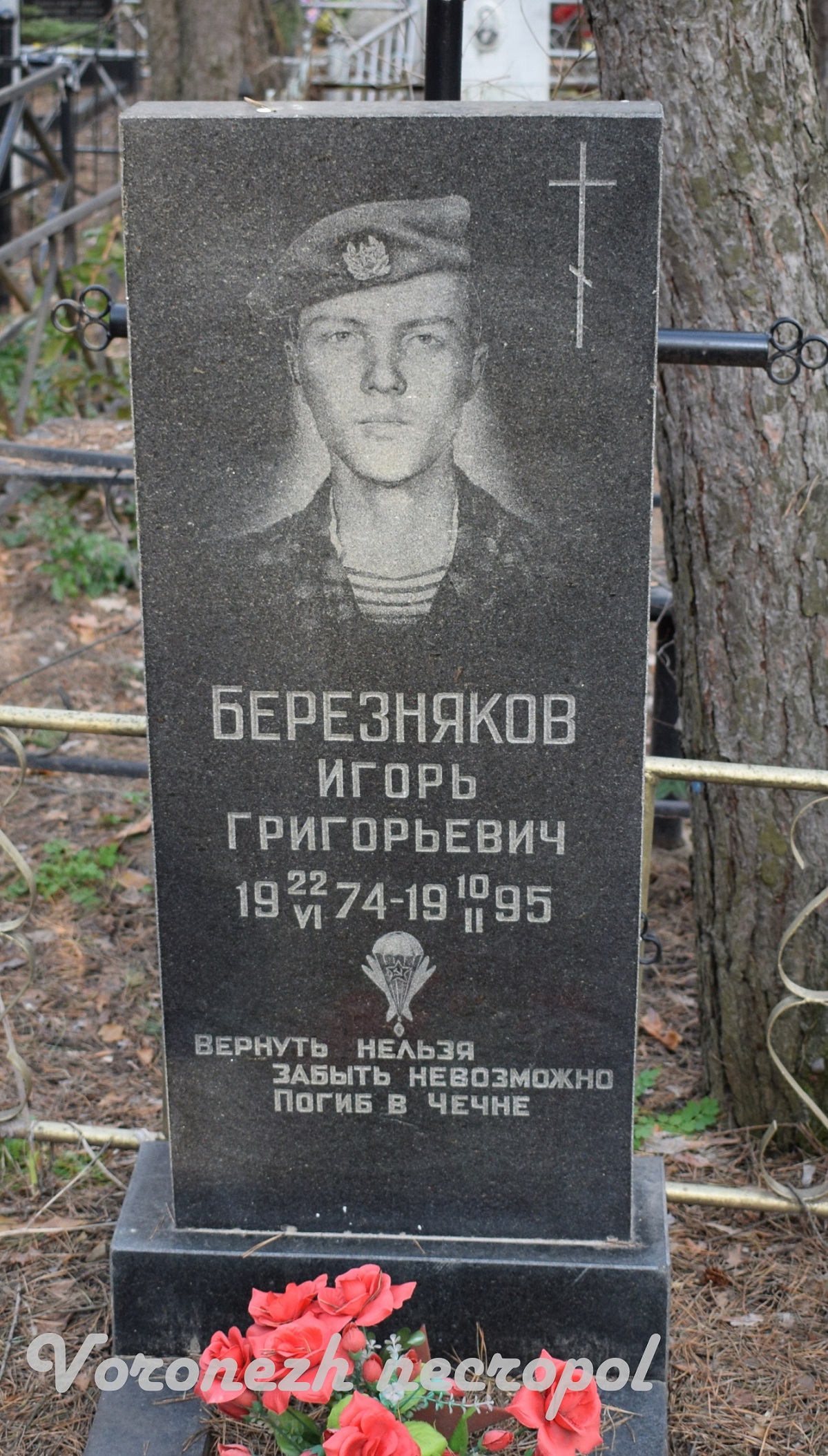 bereznjkov