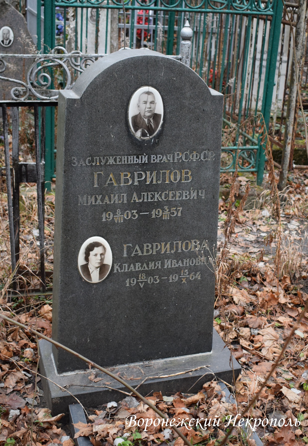gavrilov1 1