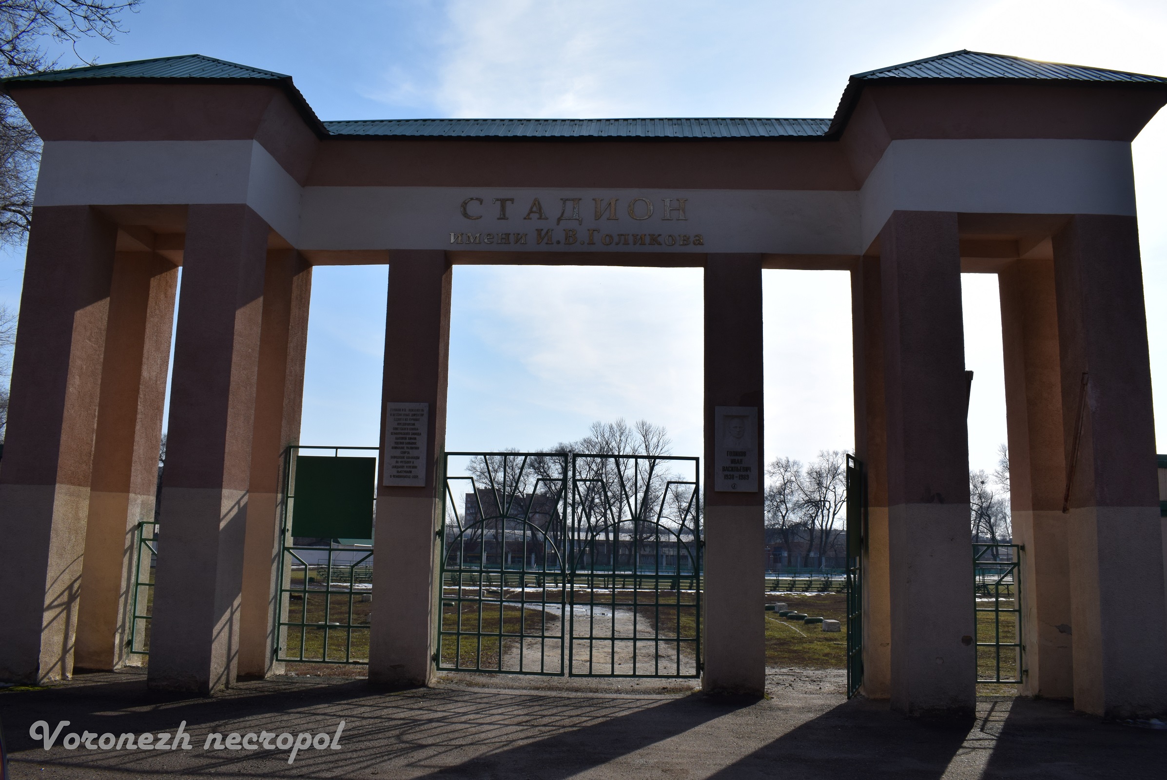 golikov3