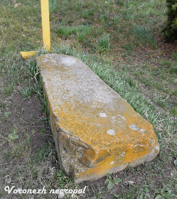 golubjtnik