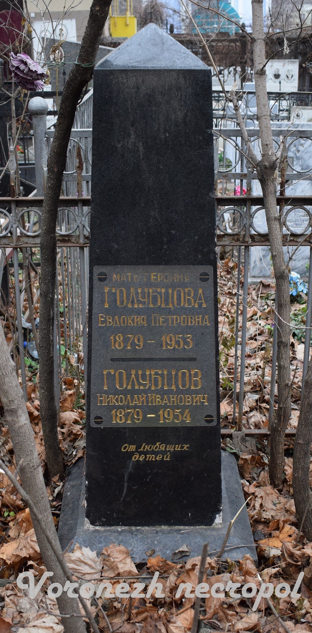 golubzova