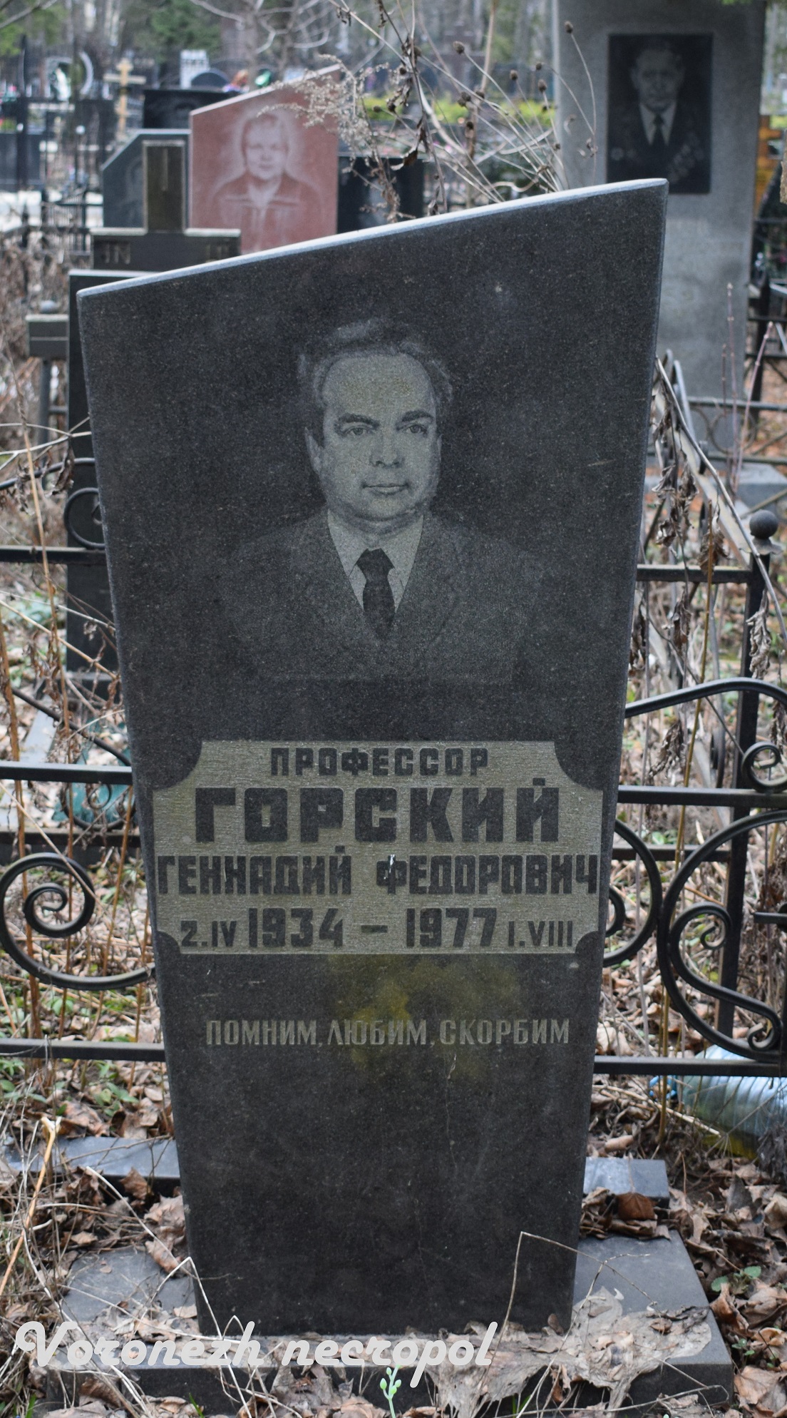 gorski