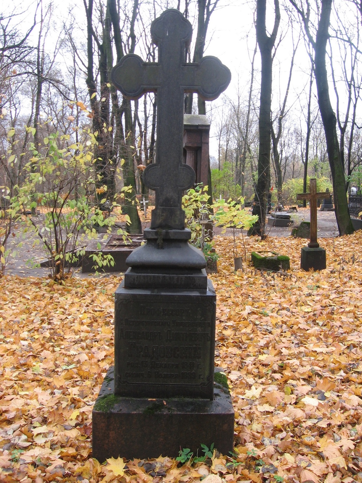 gradovsi
