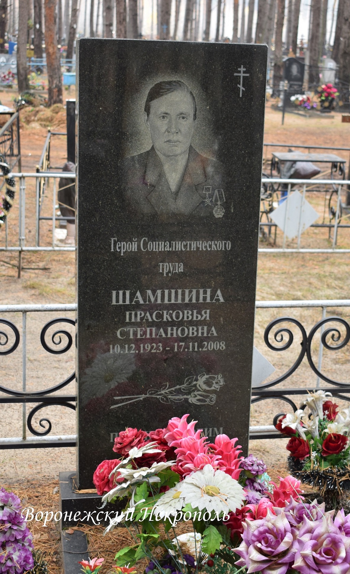 hamshina