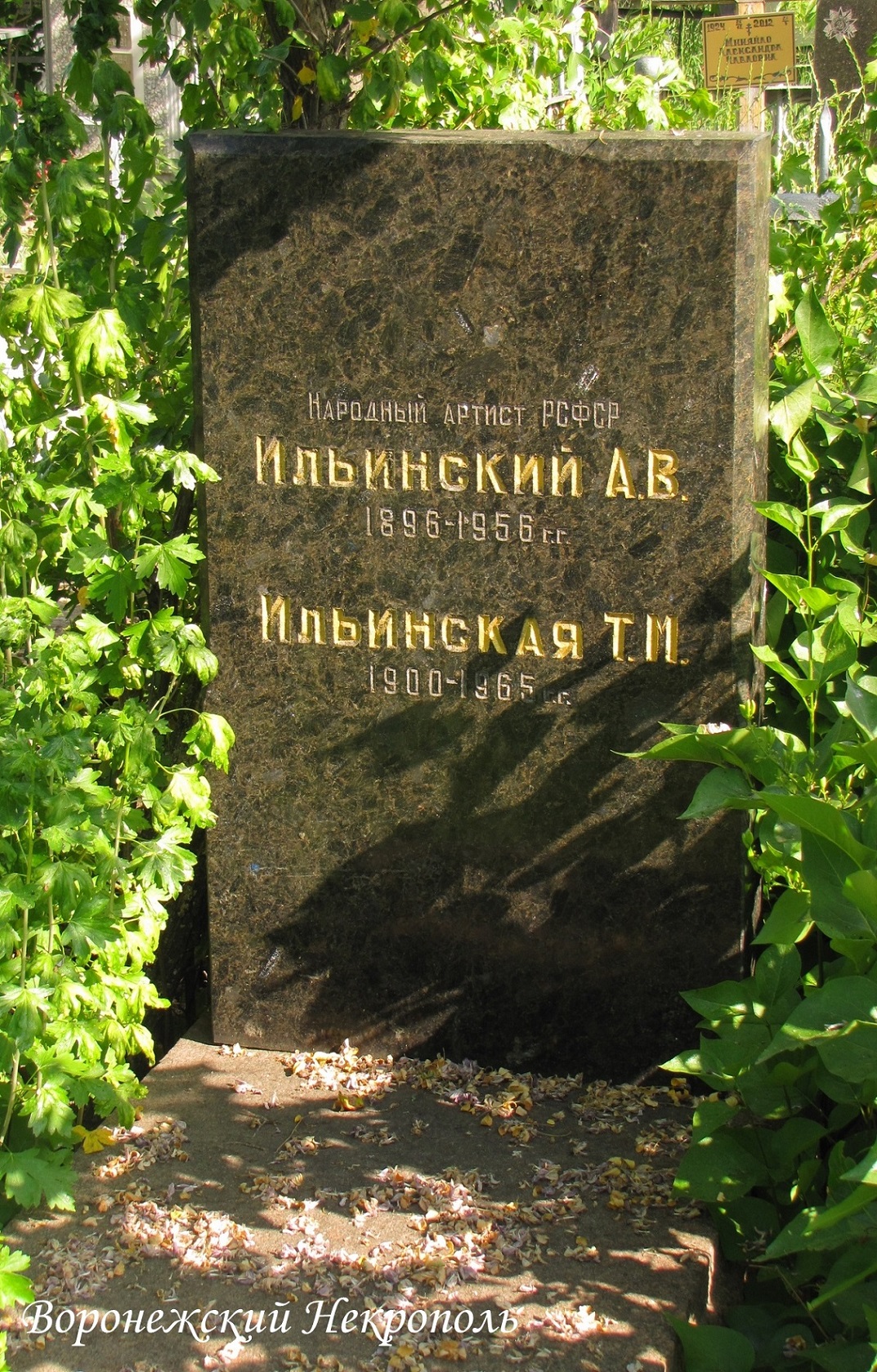 ilinskiav