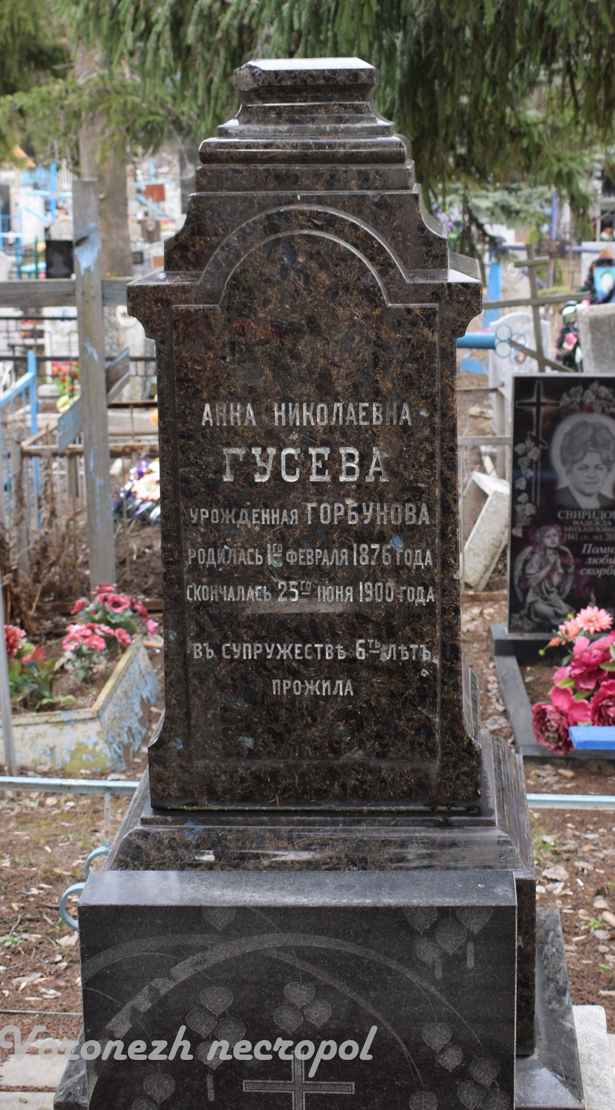 kattov