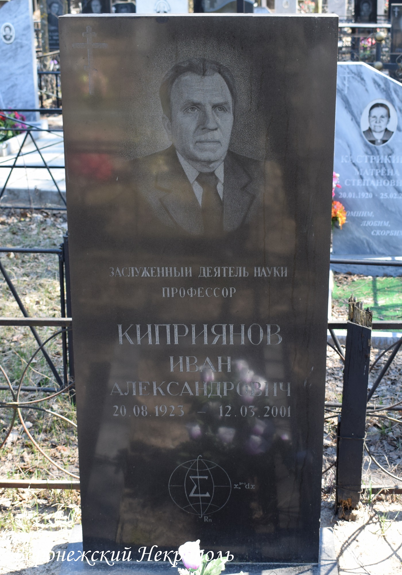 kiprijnovia