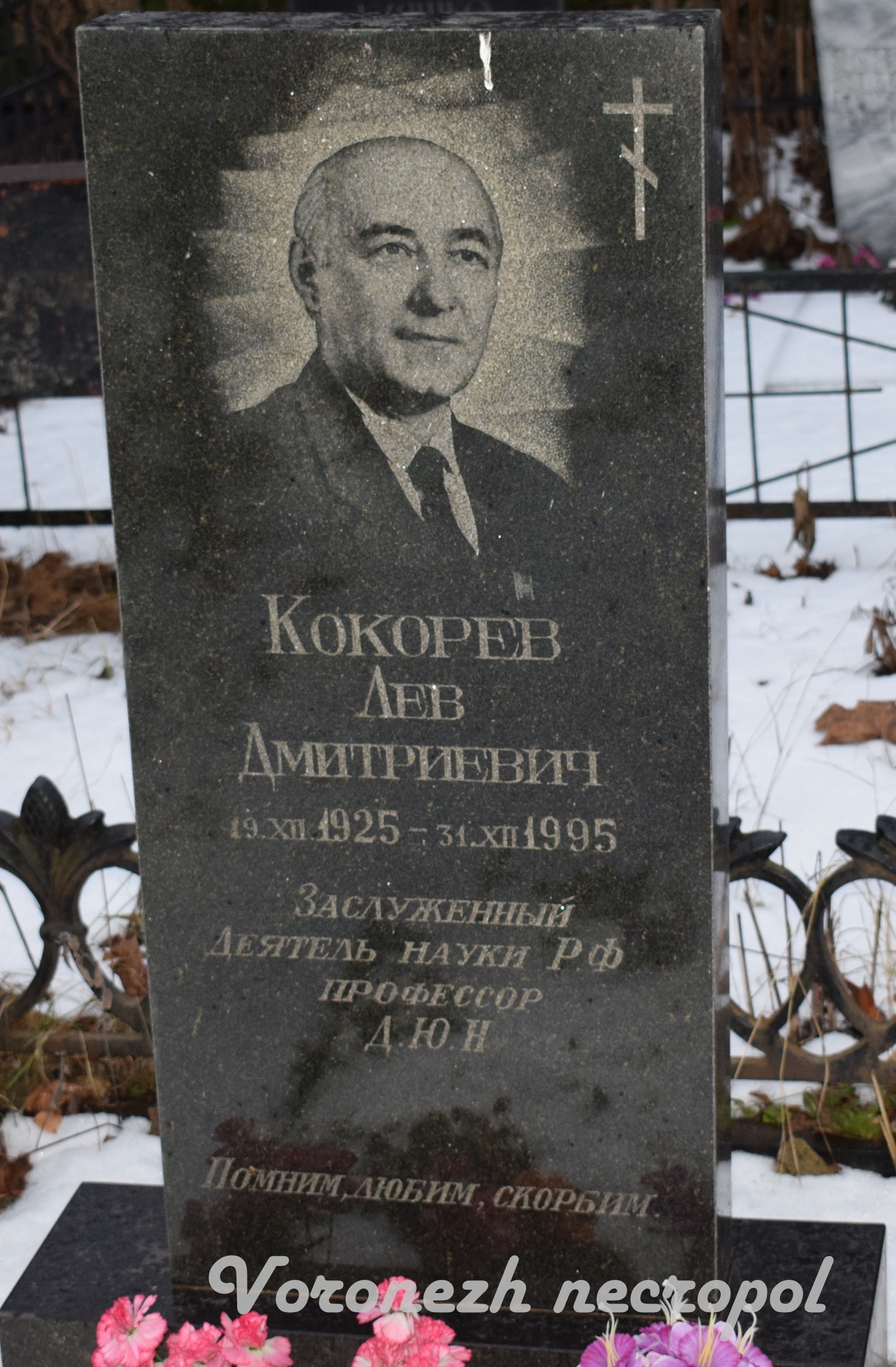 kokorev2