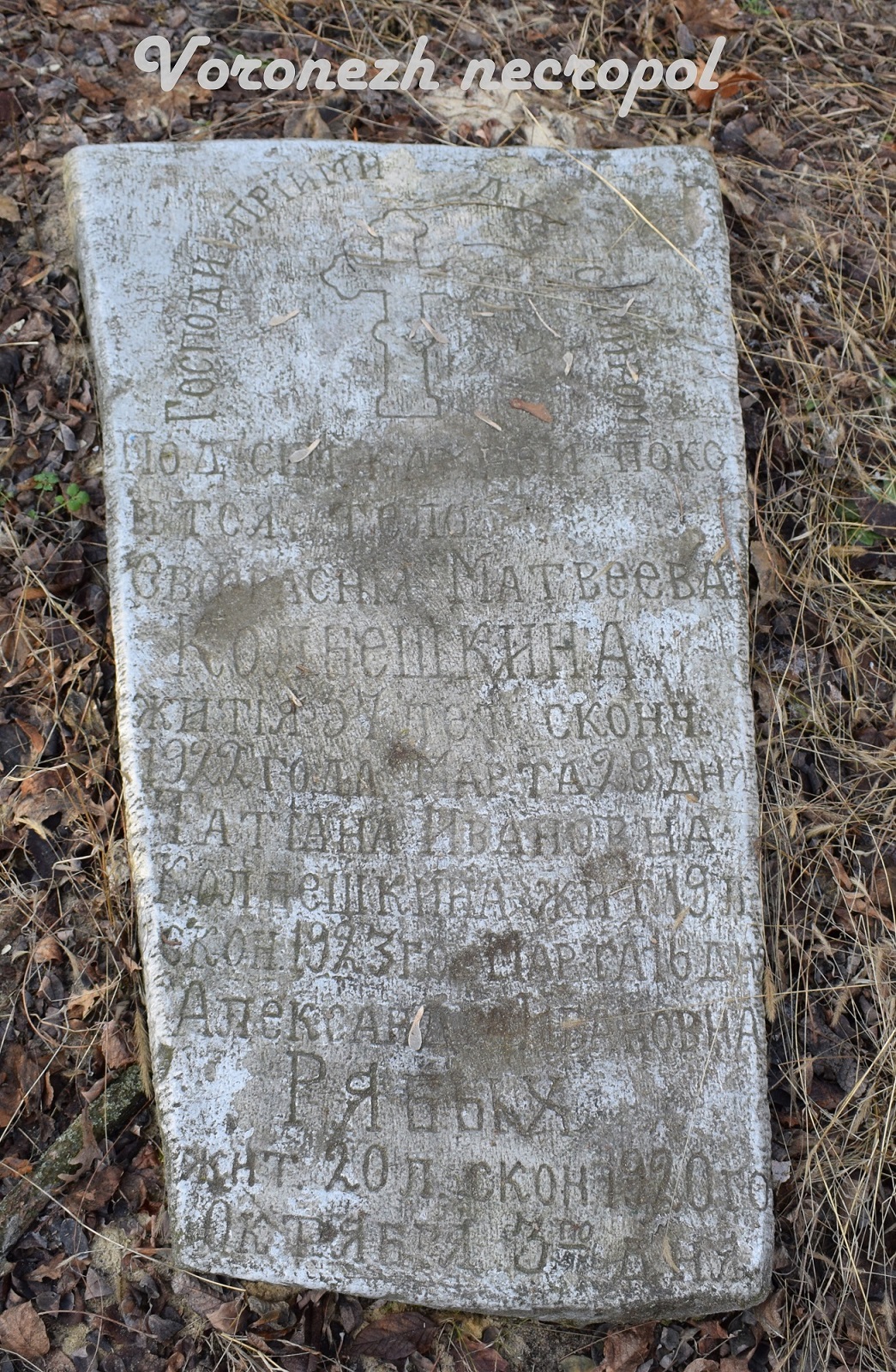 kolbehkin 1