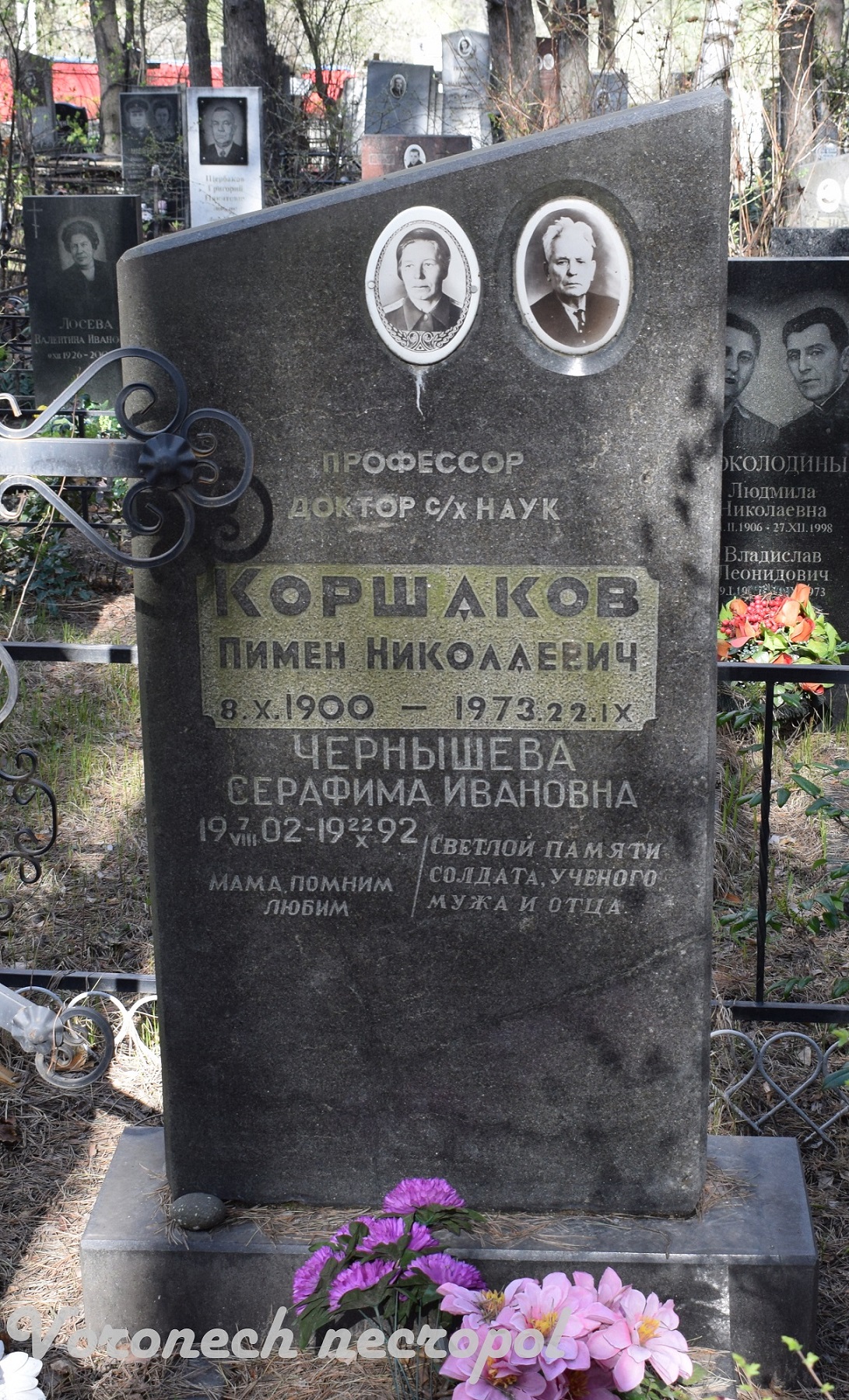 korshakov