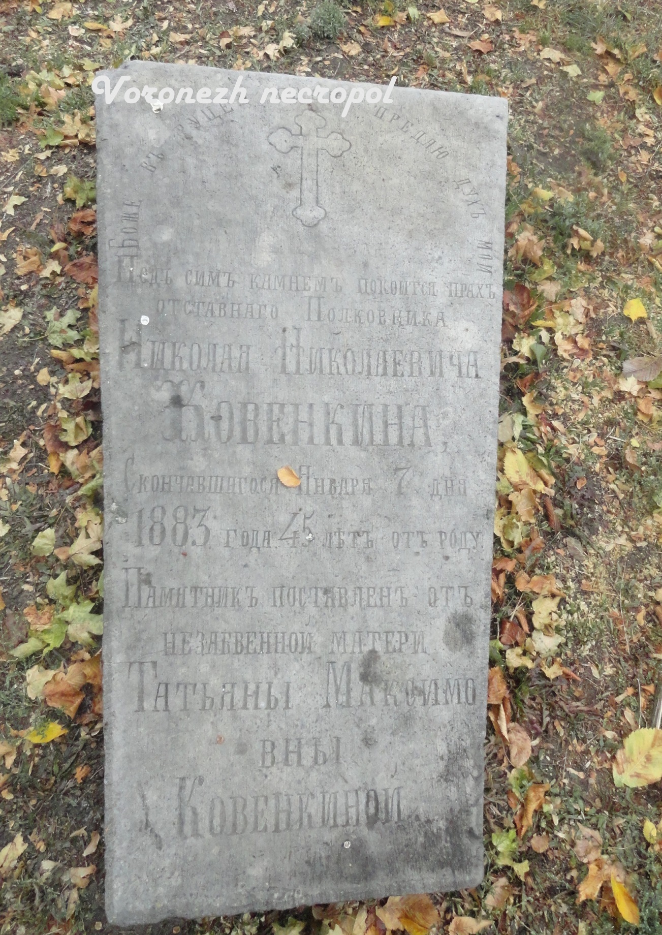 kovenkin 2