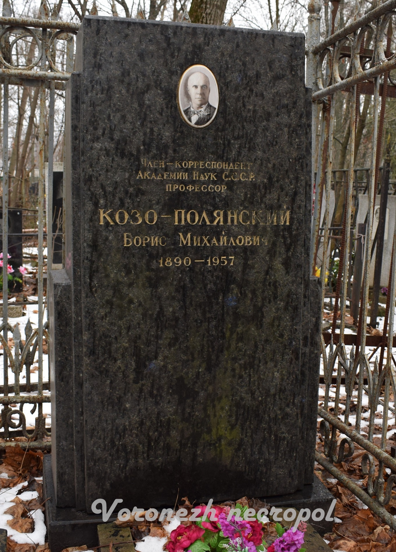 kozo polynski2