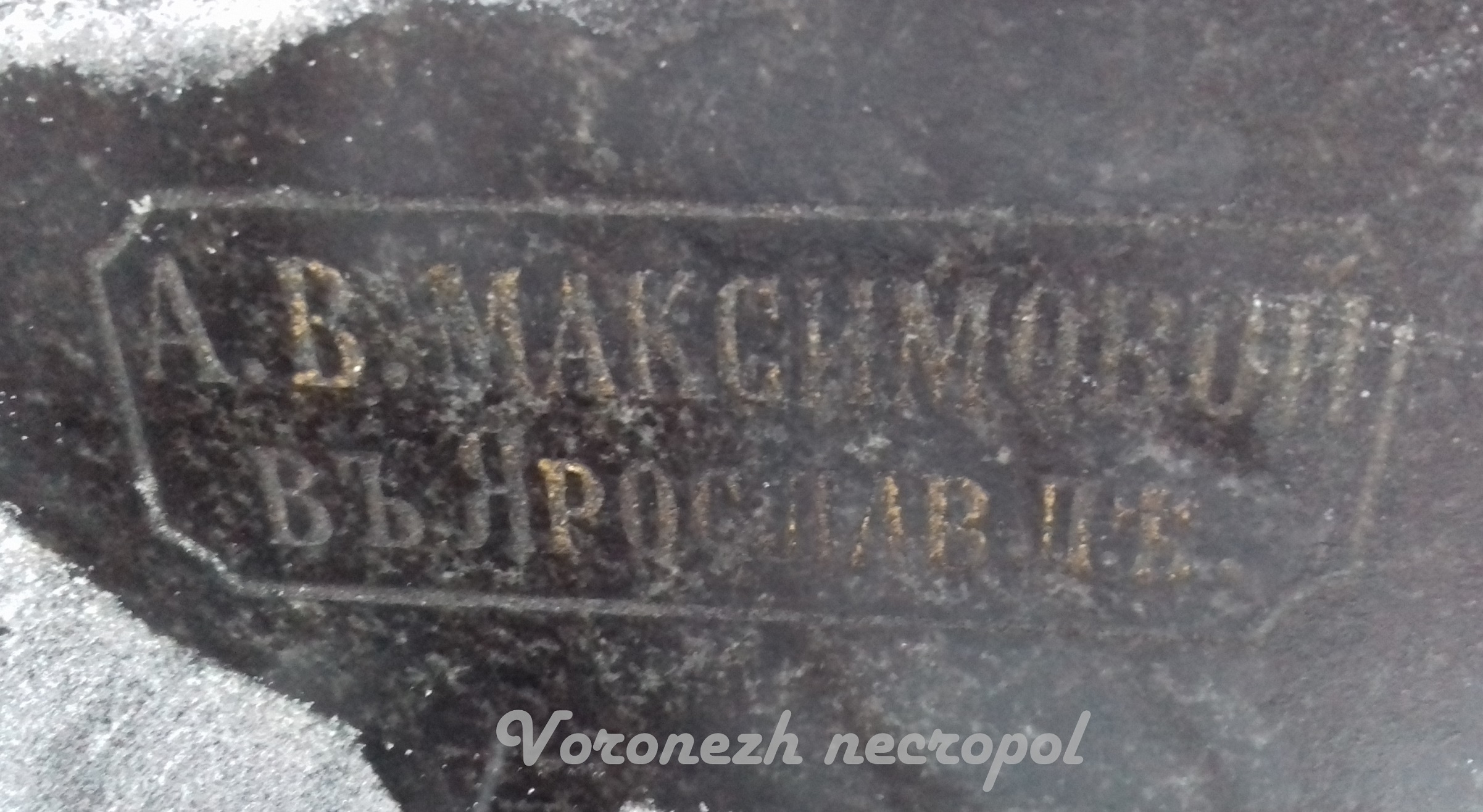 maksim