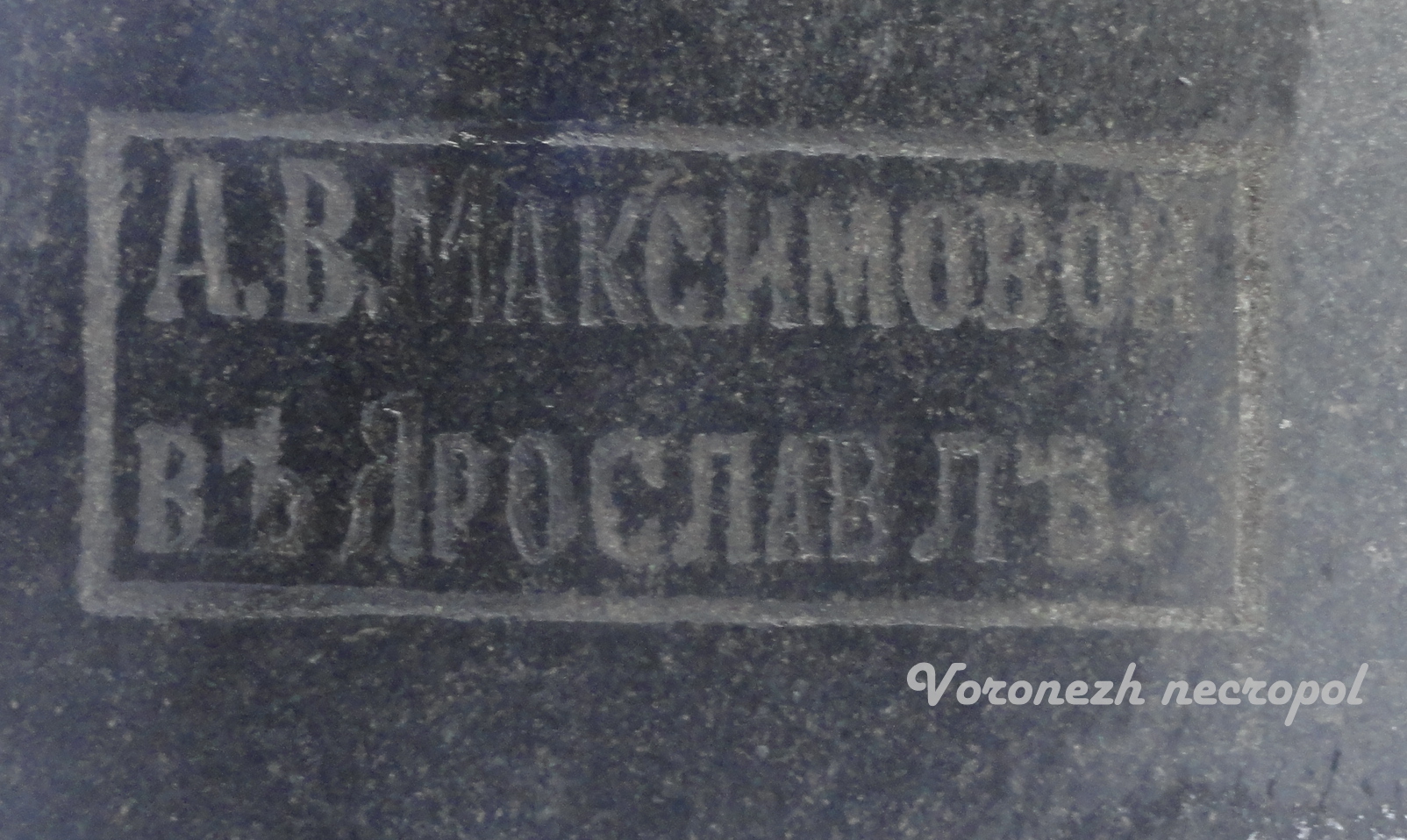 maksimov1