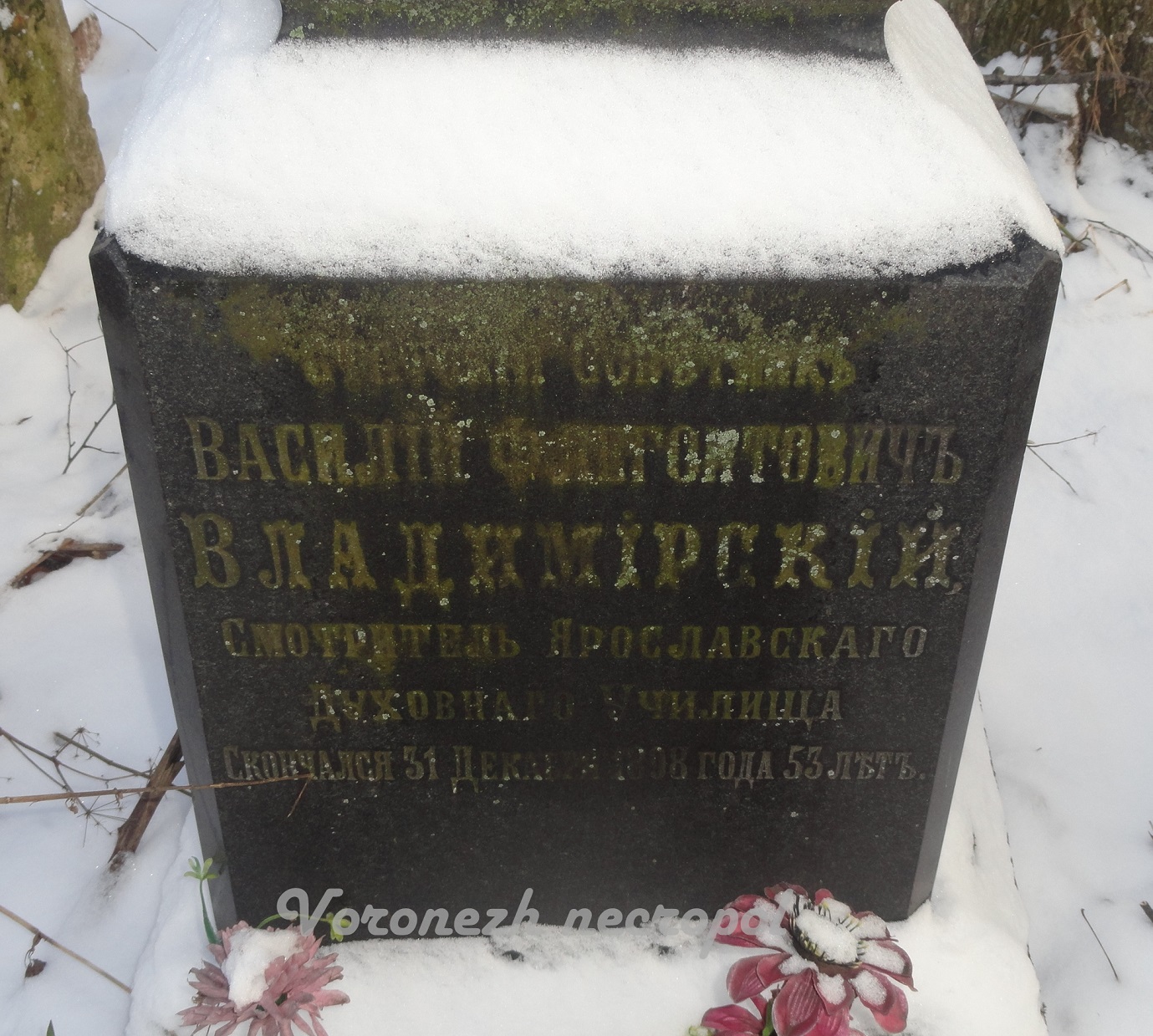 maksivov 2