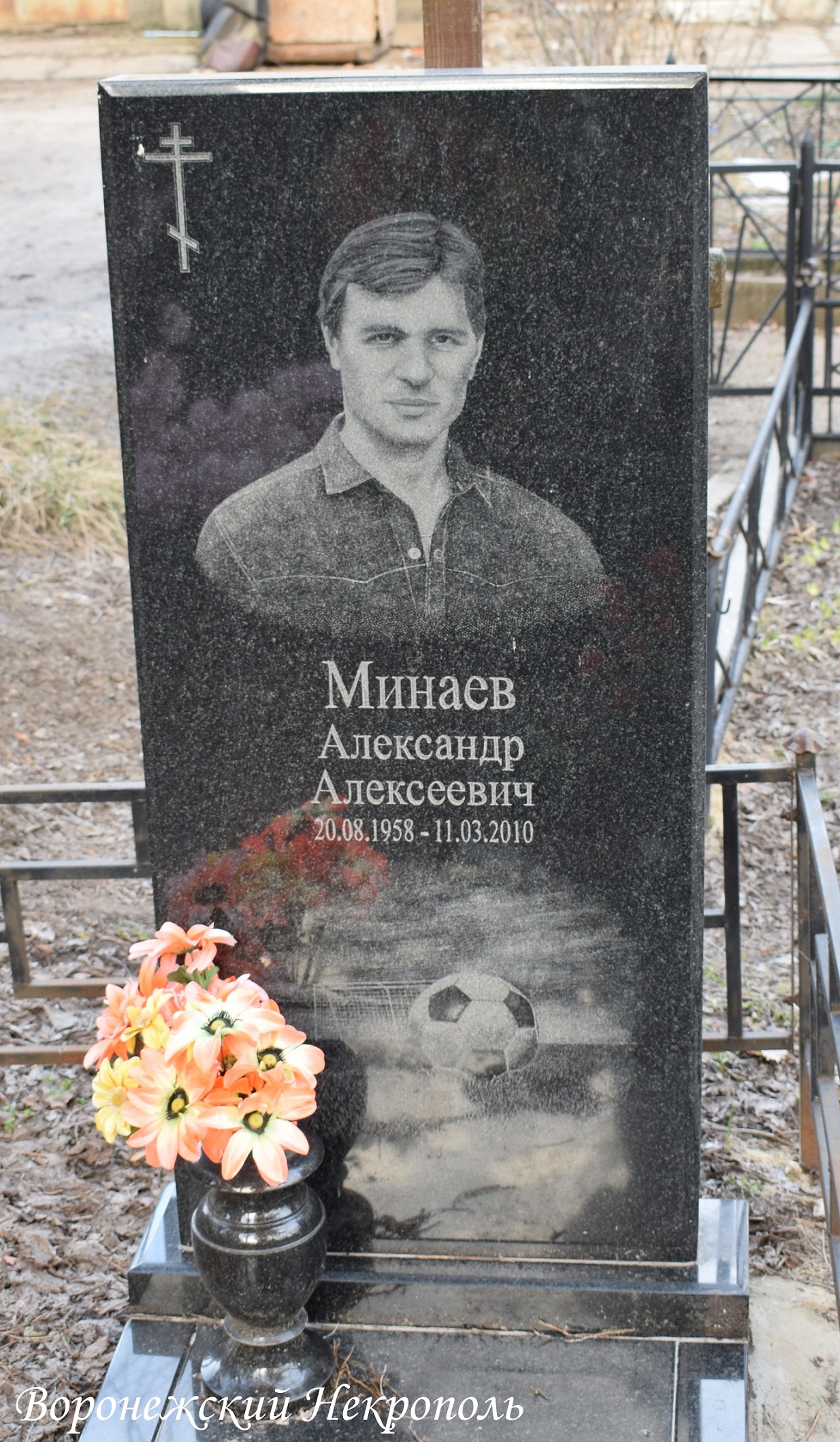minaevaa