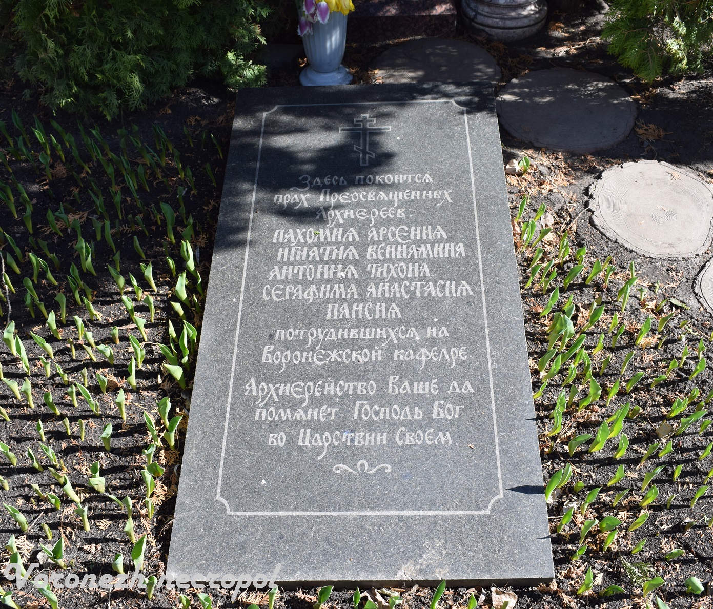 obshii mogili