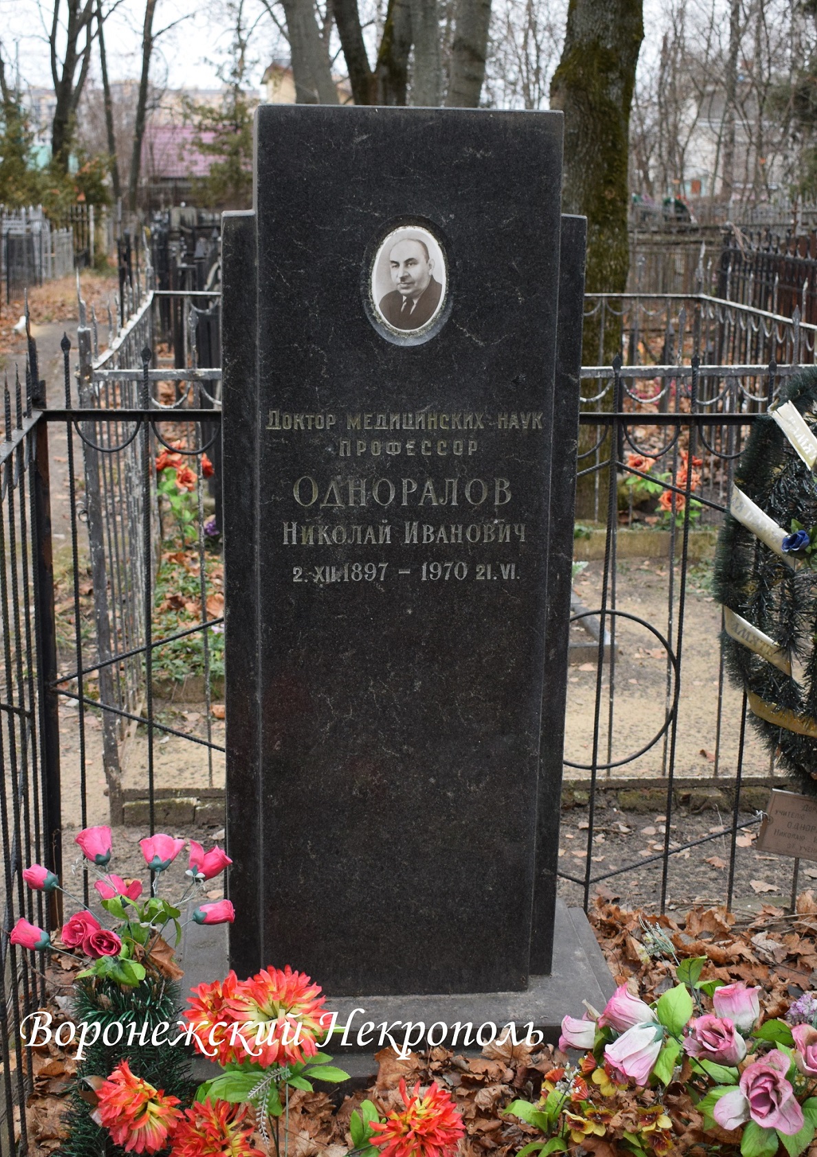 odnoralovni