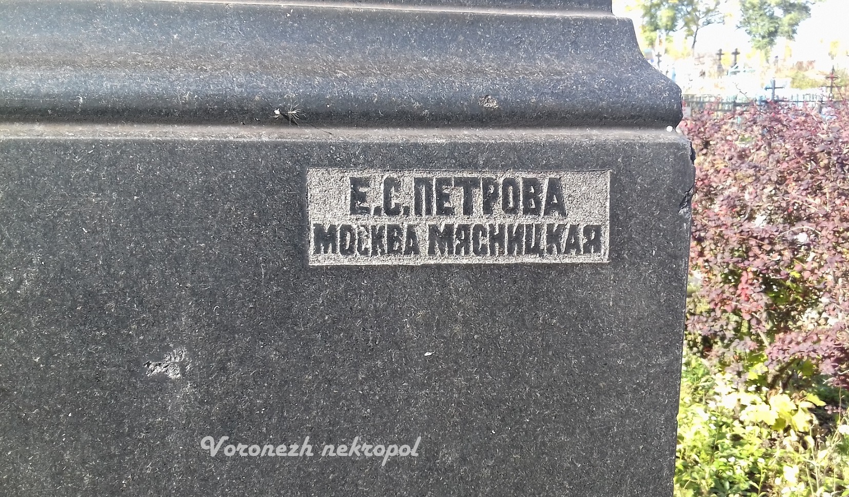 petrov 2 2