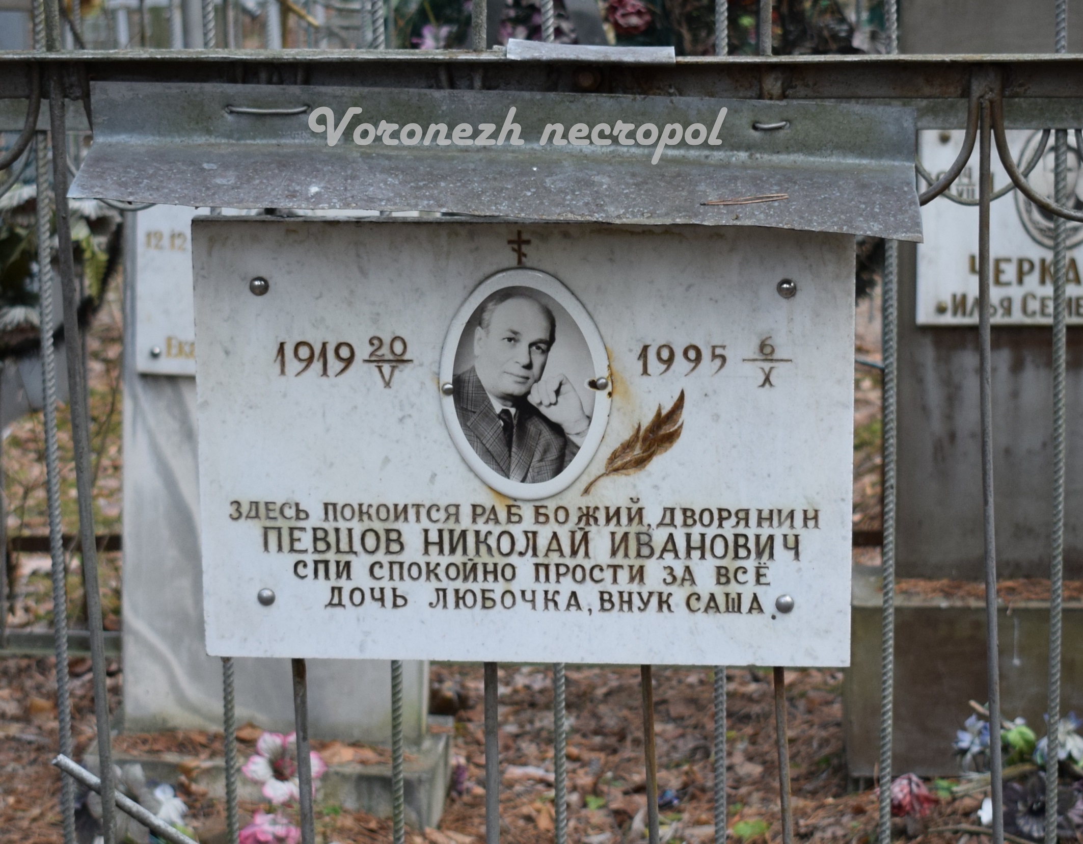 pevzov