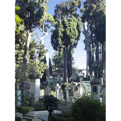 photo10