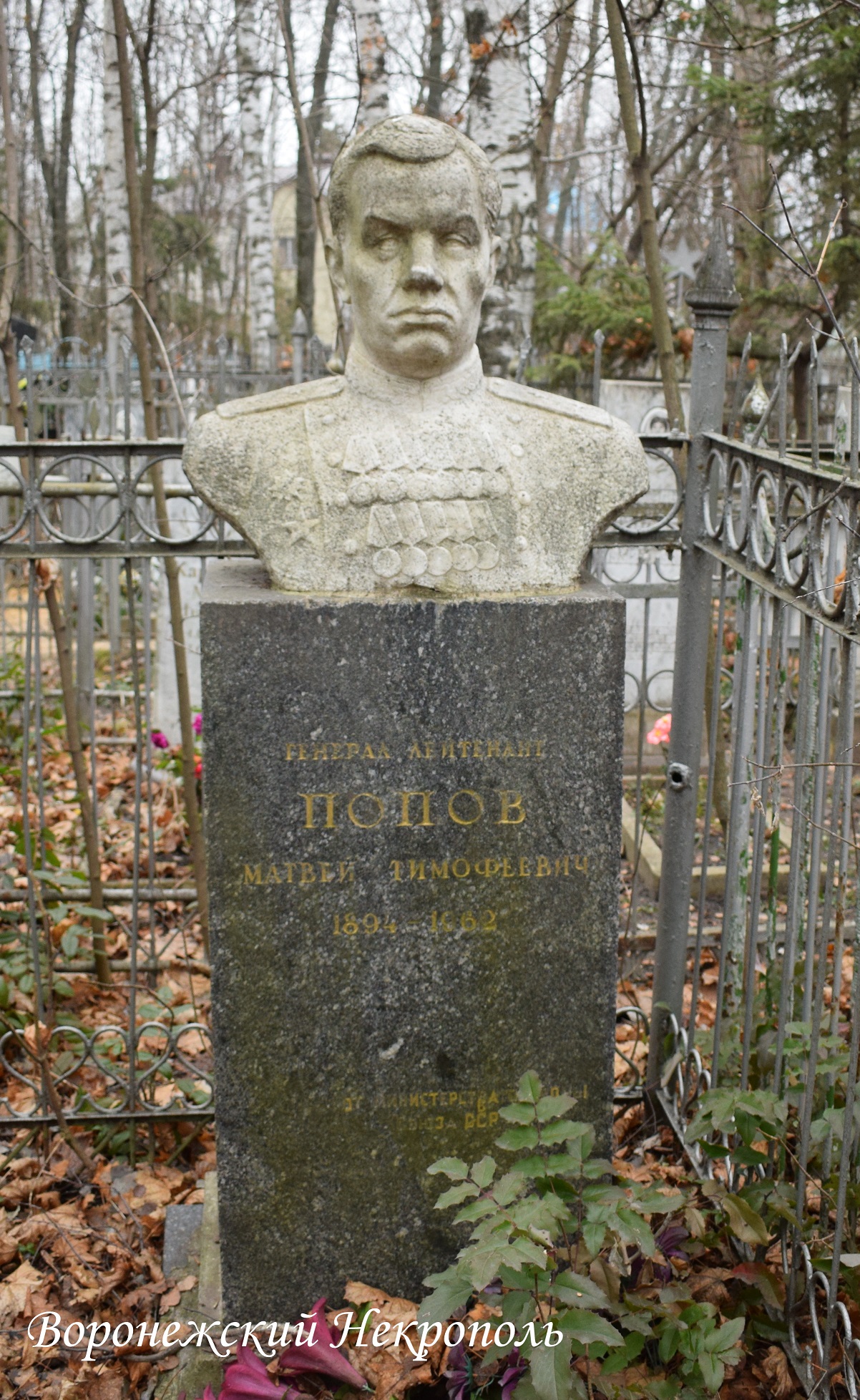popovmi