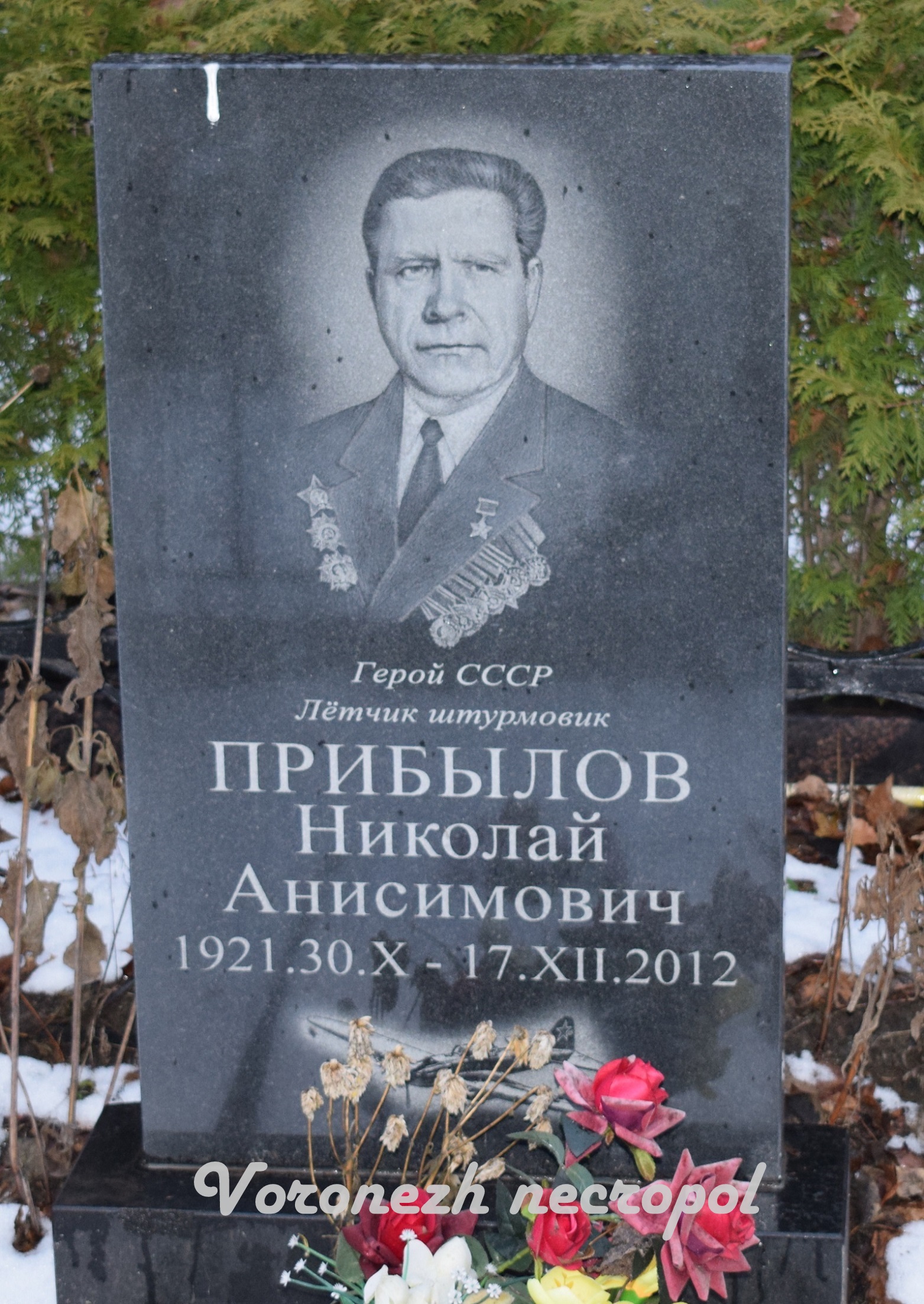 pribilov2