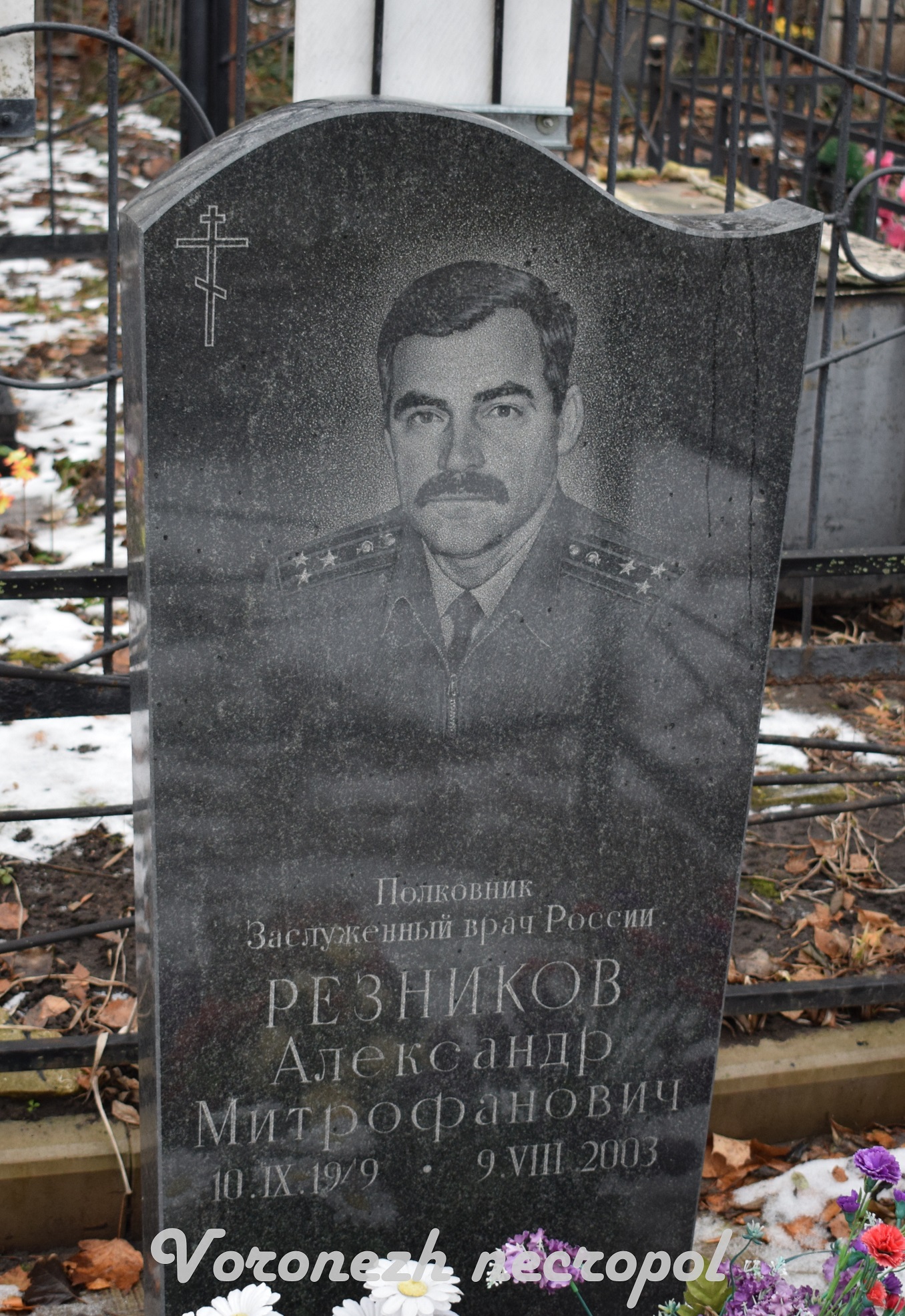 reznicov 2