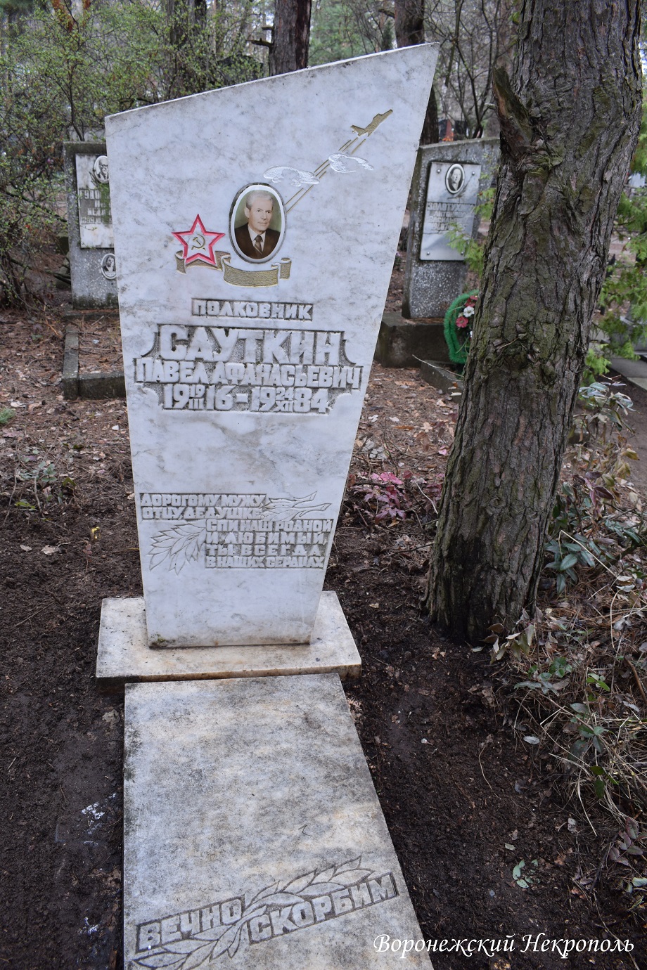 saut7