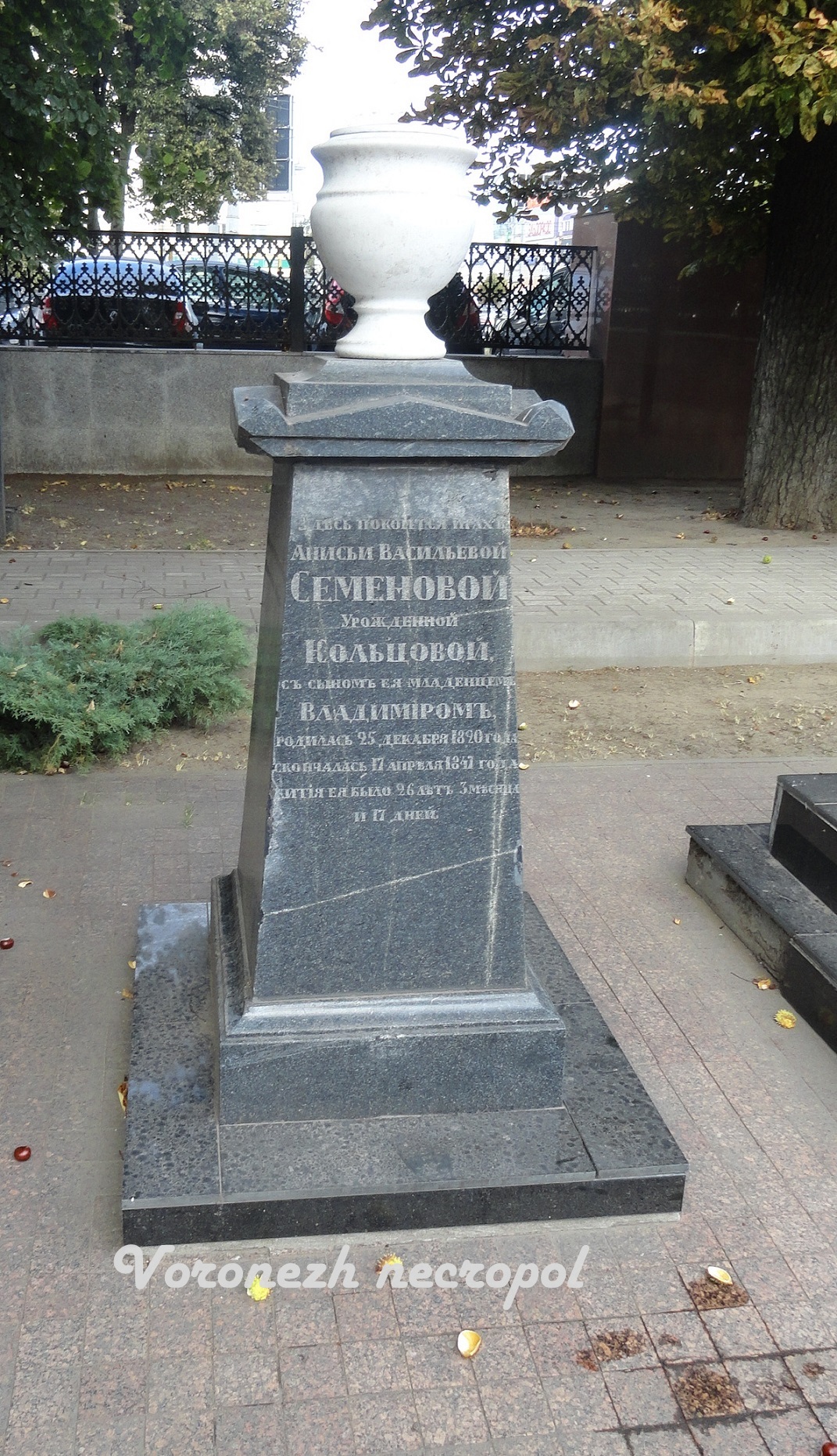 semenova 2