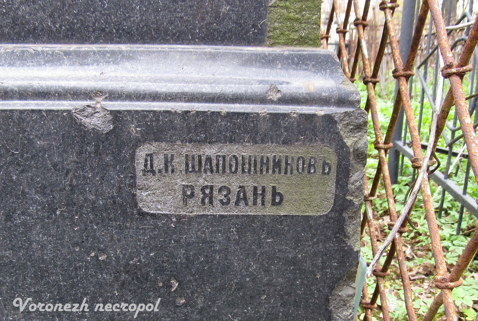 shapohnikov1