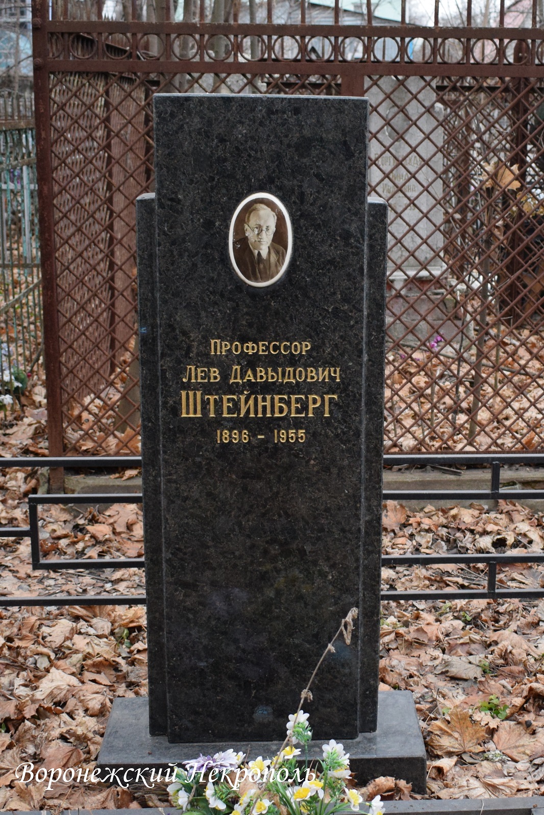shteinberg