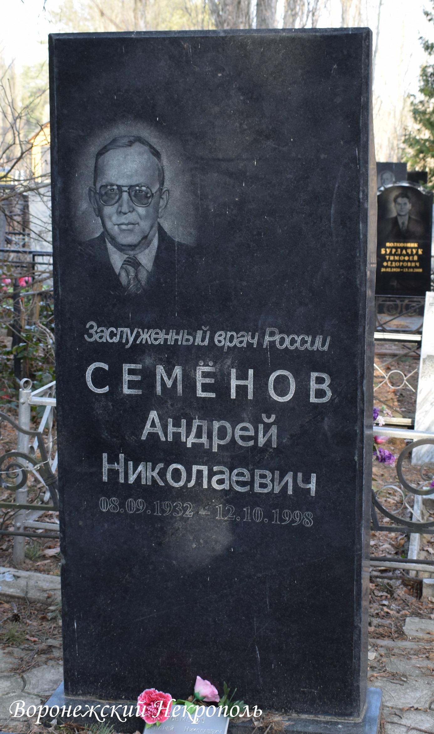 simenovanyz