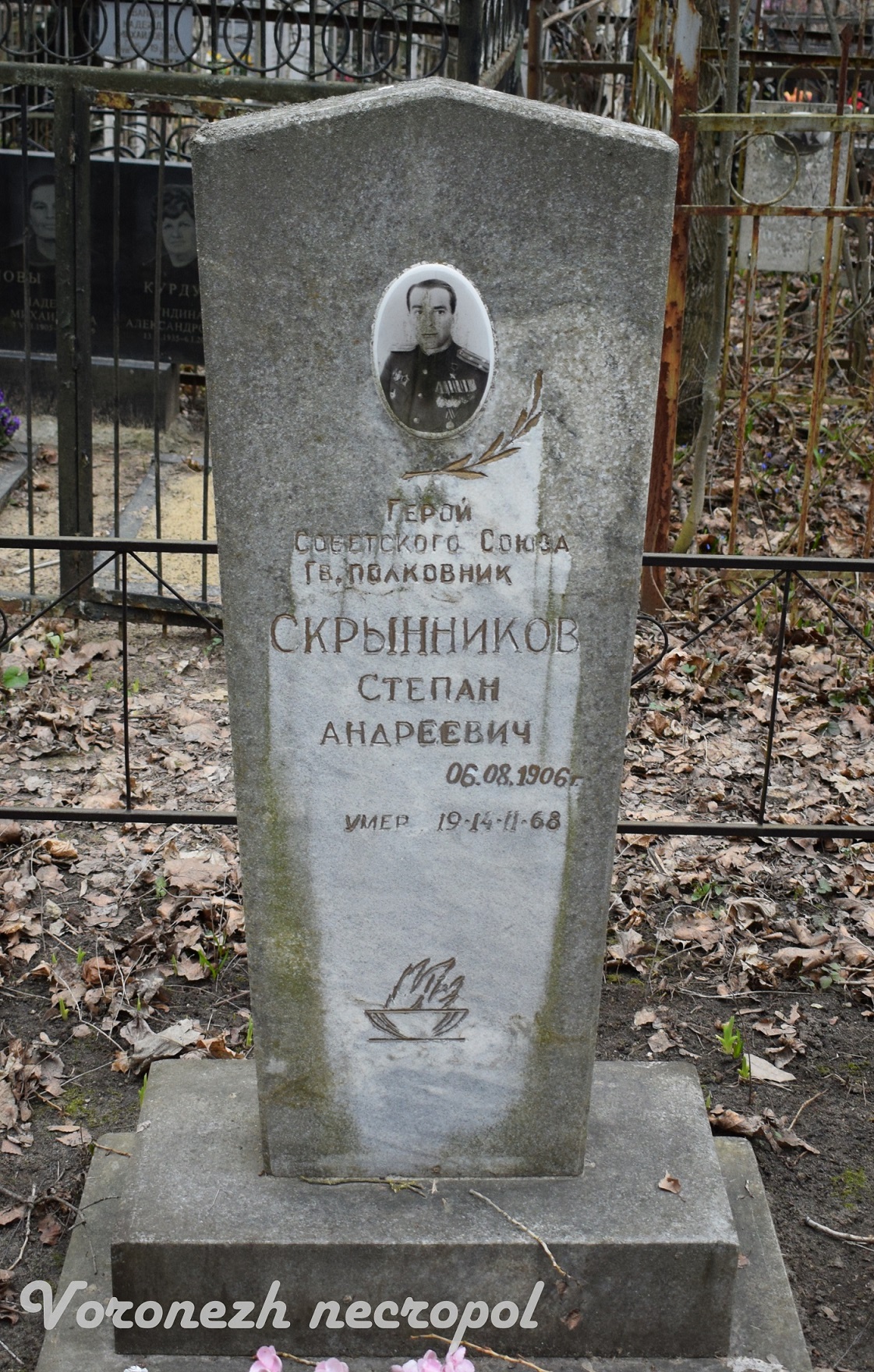 skrinnkov