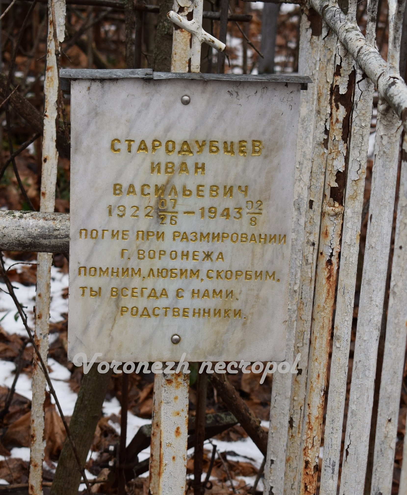 starodubzev