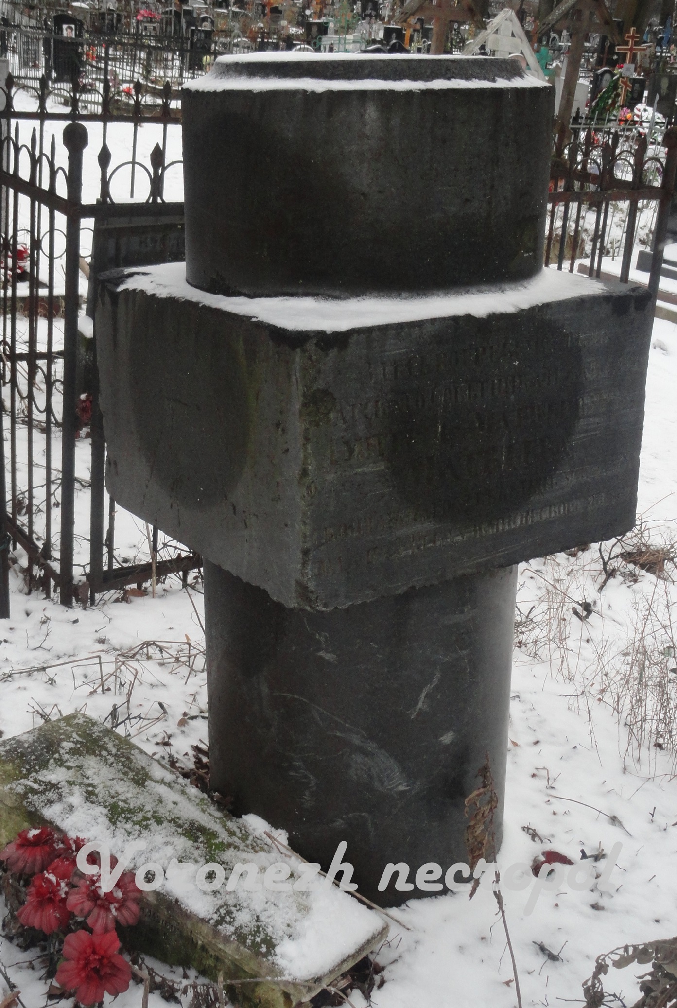 stela7
