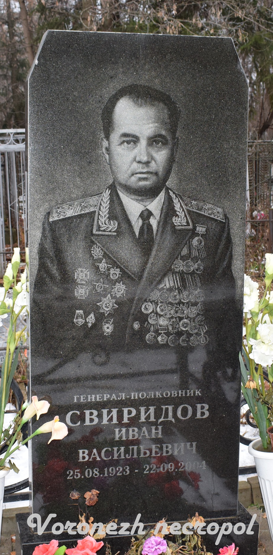 sviridov 3