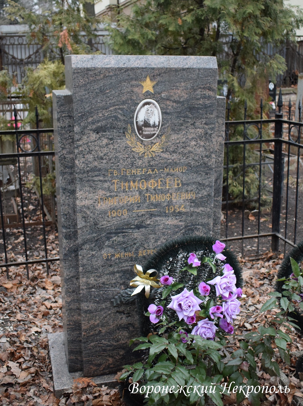 timofeev1