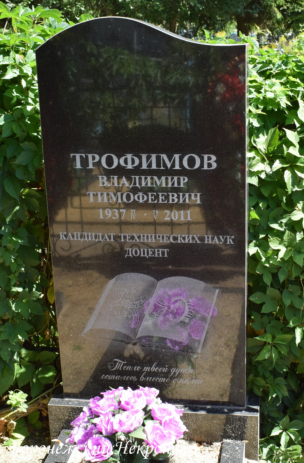 trofimovvt