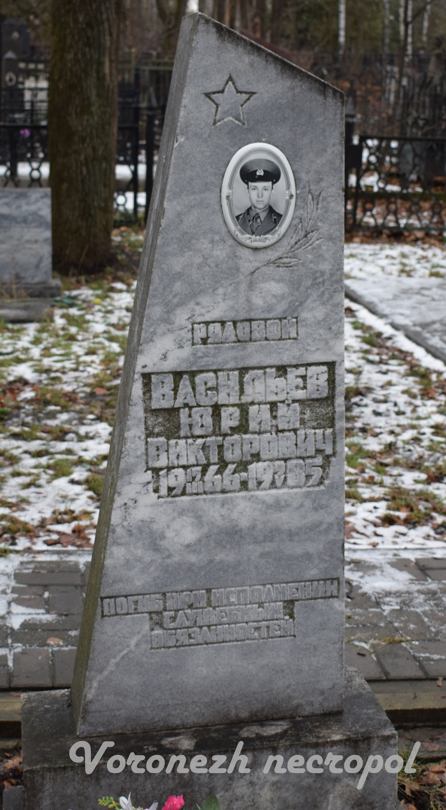 vasilev