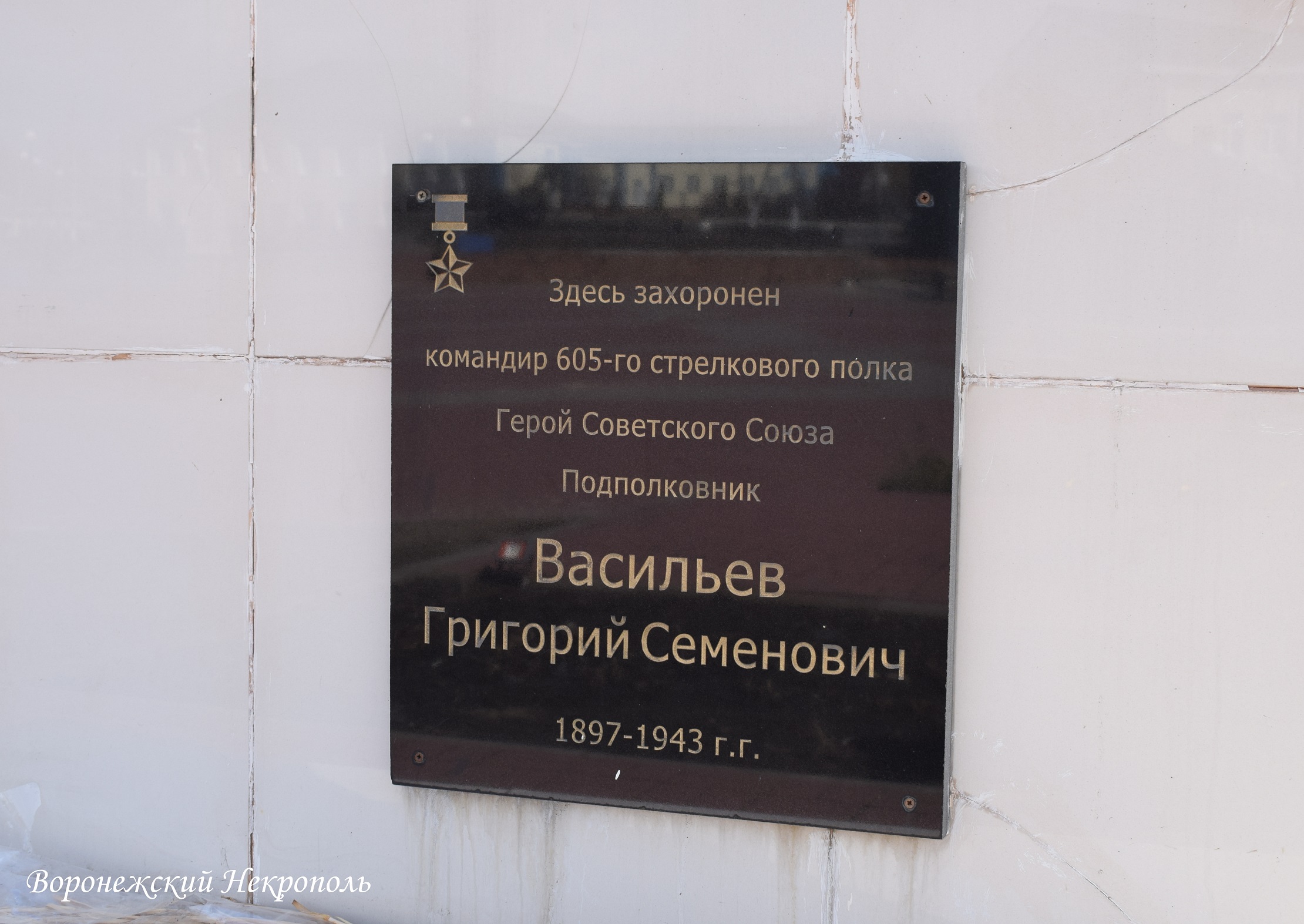 vasilev3