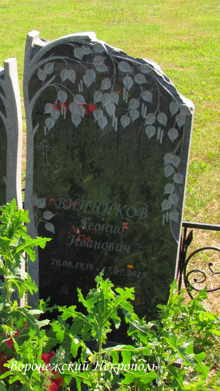 vinnikovli