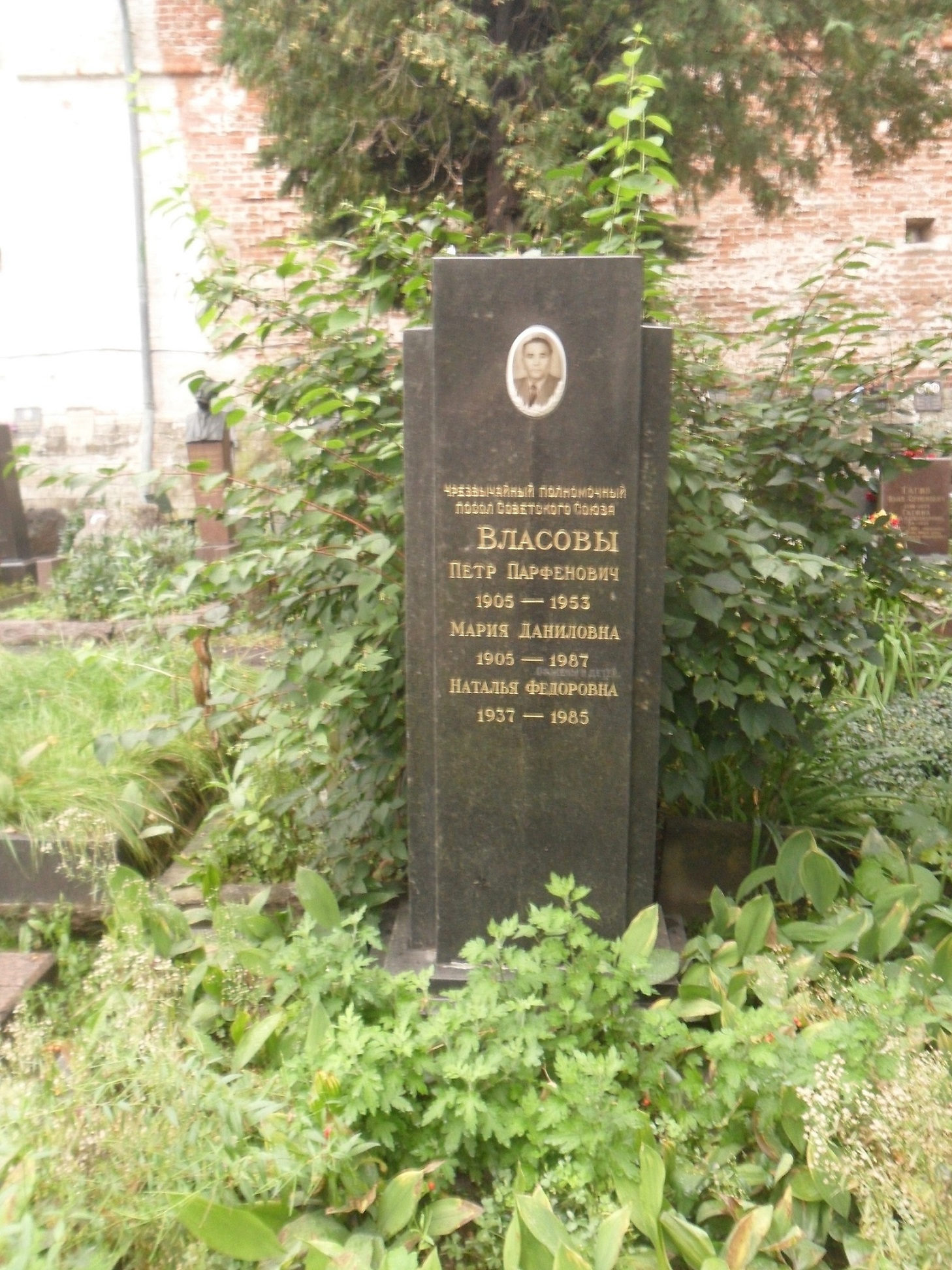 vlasovpp