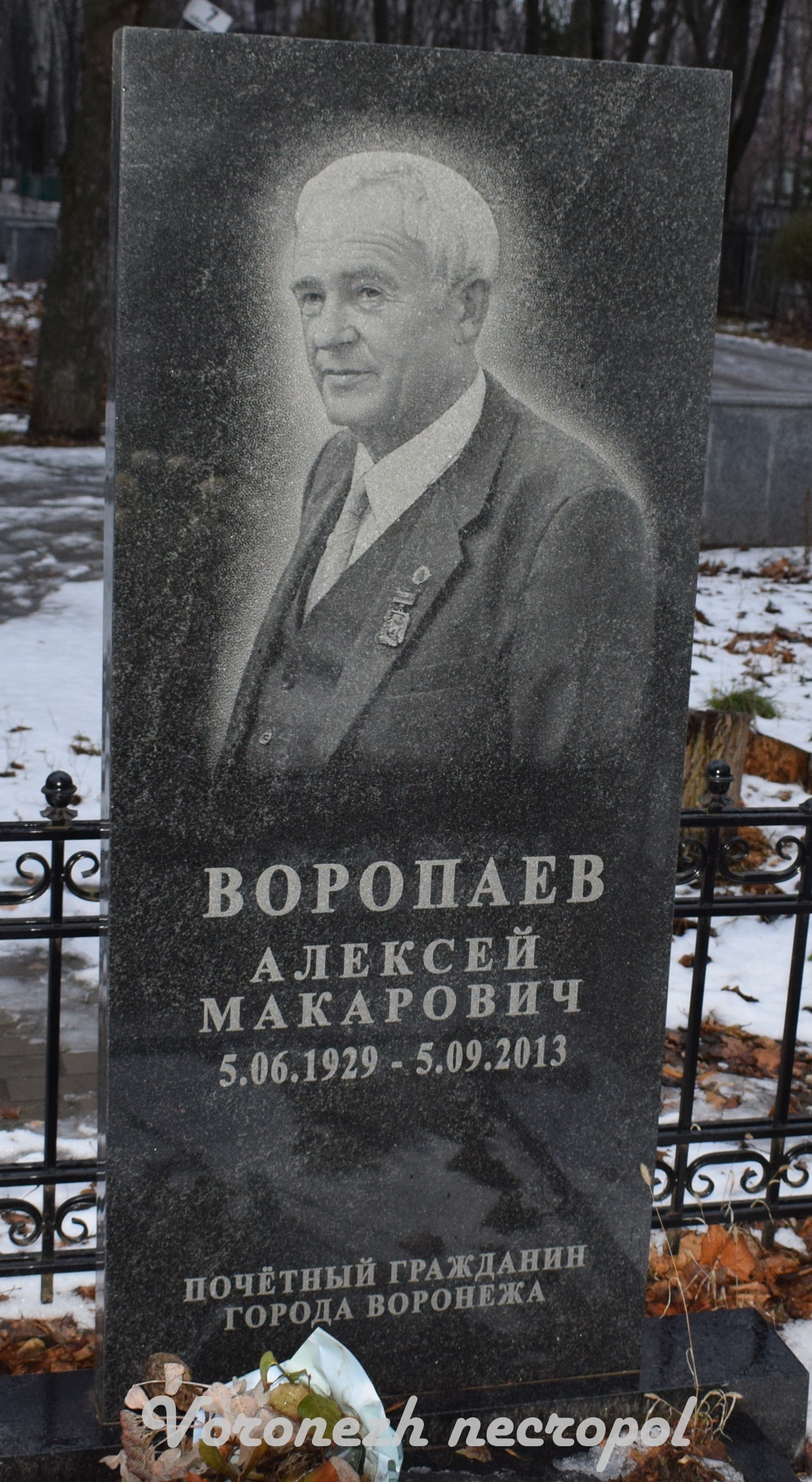 voropaev 2