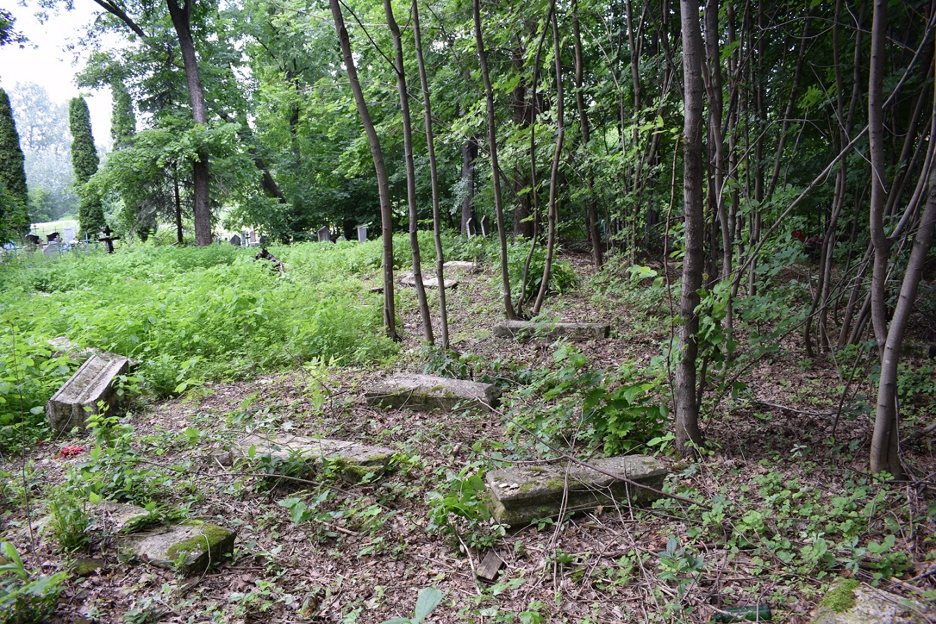 zad31