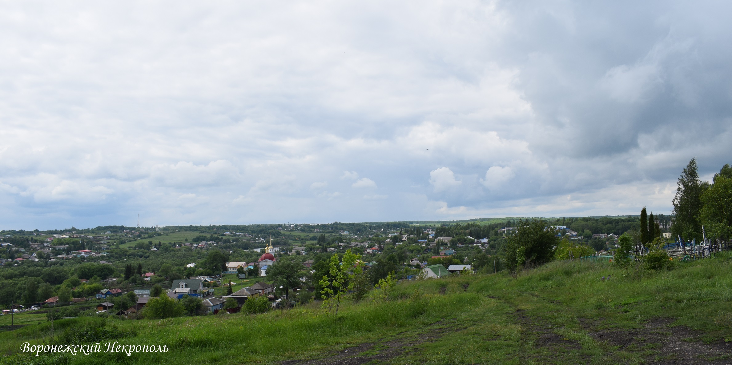 zeml13