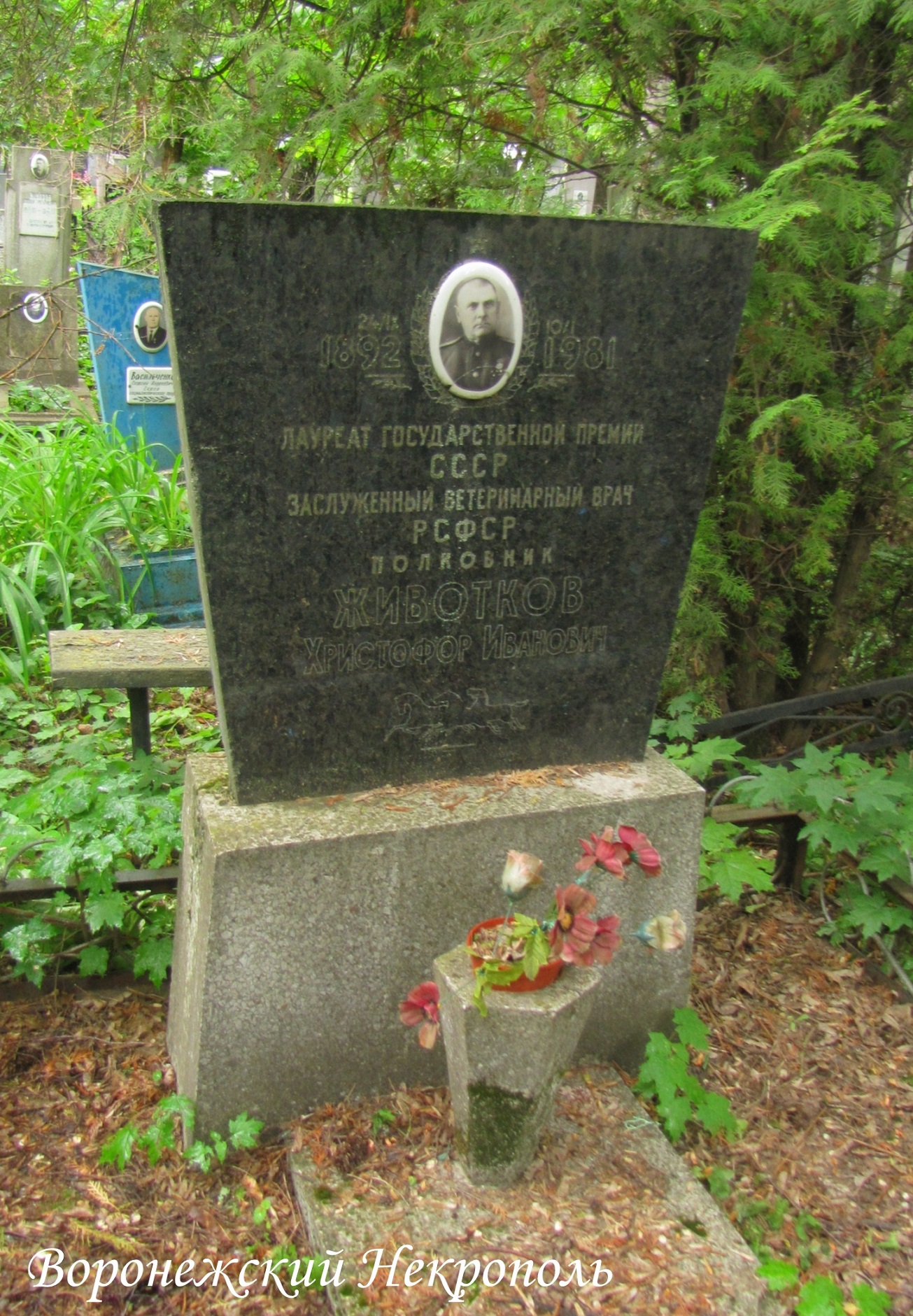 zhivotov hm
